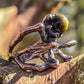 Gold Sheen Obsidian Spider Ring