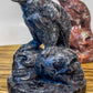 Raven on Skulls Carvings