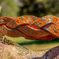 Mystery Braid Orange Leather Bracelet w/ distressed tooling & color shift paint.
