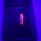 The Fire Ring